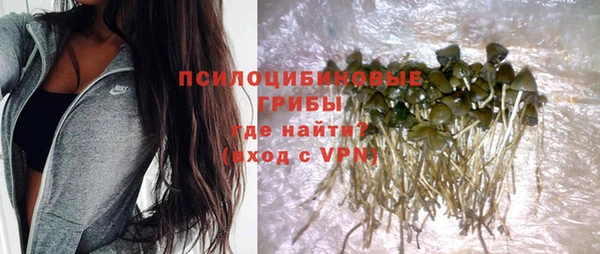 ECSTASY Балахна