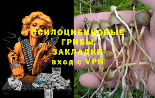 ECSTASY Балахна
