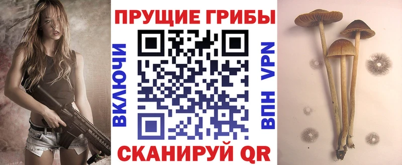 магазин продажи   Краснокаменск  Псилоцибиновые грибы мухоморы 