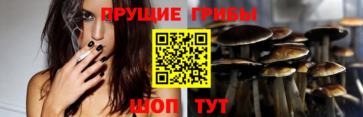 Краснокаменск  Галлюциногенные грибы ЛСД  Вход с VPN  Псилоцибиновые грибы ЛСД 