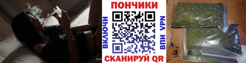 Бошки Шишки план Краснокаменск